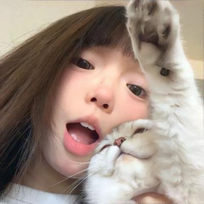 猫头鹰与麻雀 海报